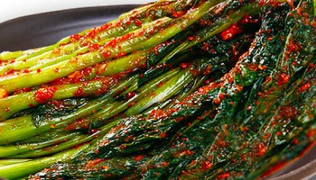 국내산 전라도 갓김치 2kg