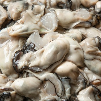 통영 생굴 1kg